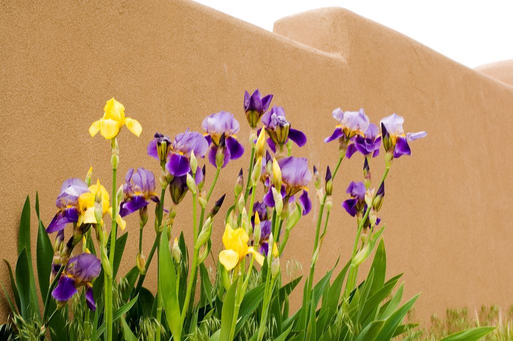 Fort Marcy Suites Santa Fe Exterior photo